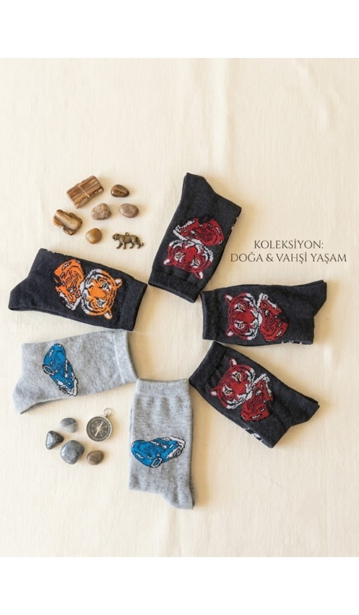 Erkek Çocuk Karışık Renkli 6 Lı Paket Soket Çorap