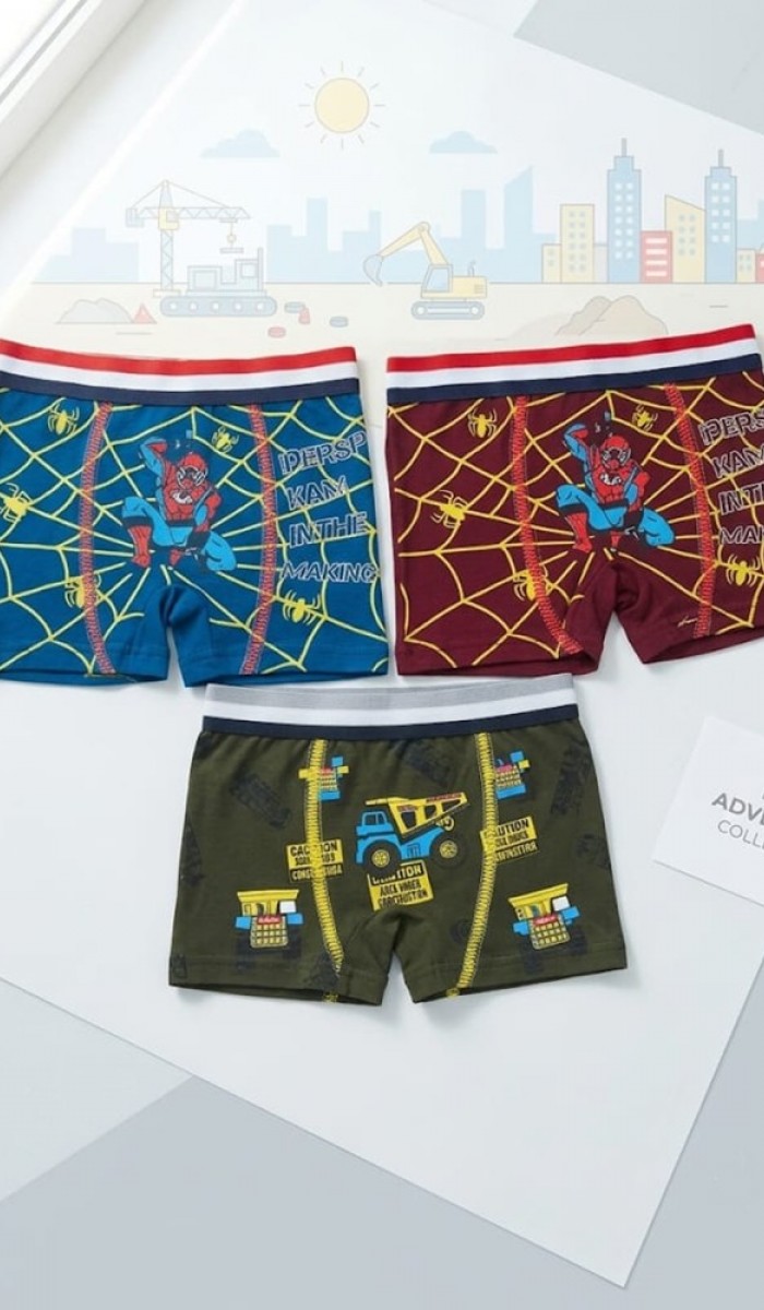 Erkek Çocuk Renkli Pamuklu Boxer 3 ' Lü Paket