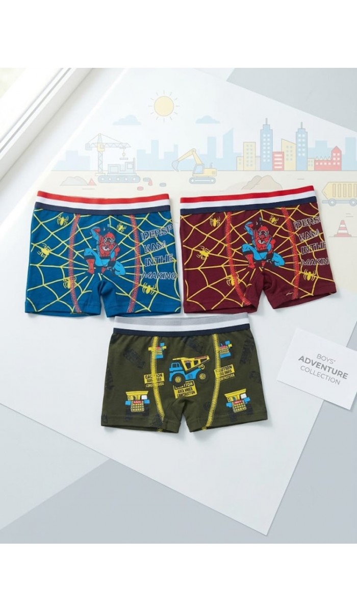 Erkek Çocuk Renkli Pamuklu Boxer 3 ' Lü Paket